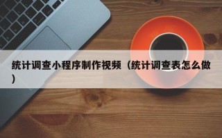 石家庄统计调查小程序制作视频（统计调查表怎么做）
