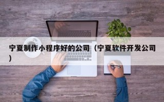 石家庄宁夏制作小程序好的公司（宁夏软件开发公司）